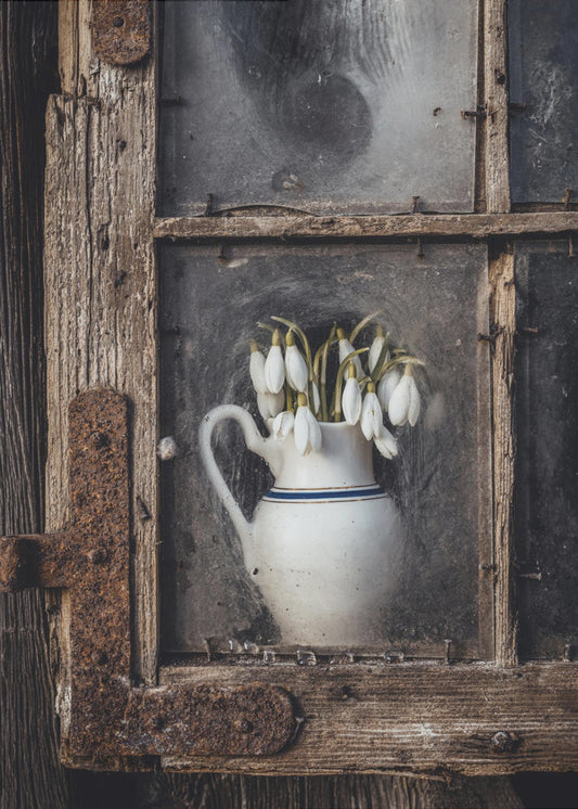 Lentebloemen in het raam | Canvasprints