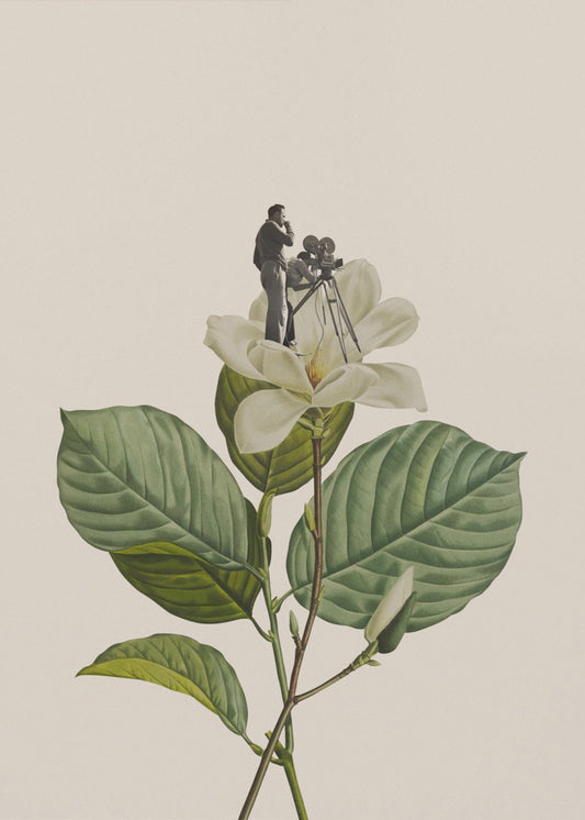 Botanisk vintage kameramand | Lærredsbilleder