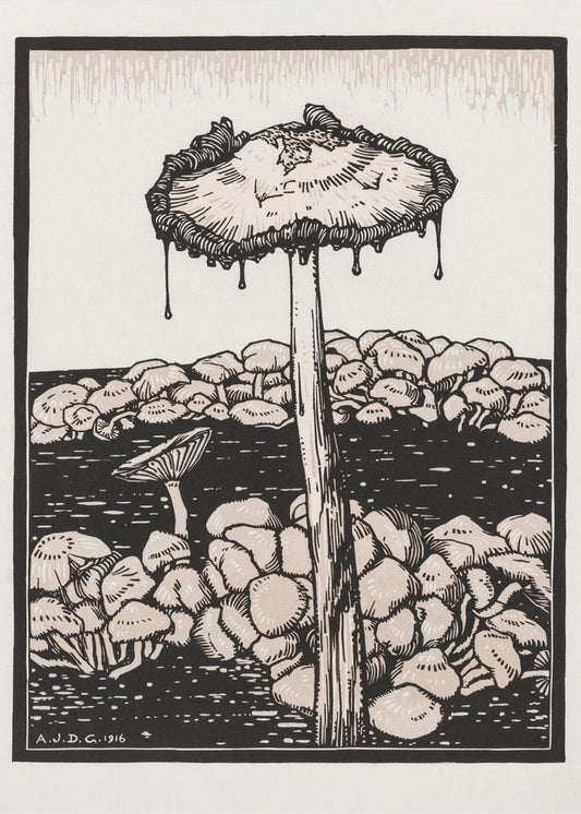 Droppande svamp 1916 | Canvas