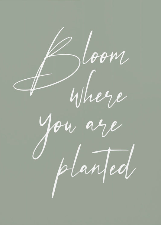 Blomma | Canvas
