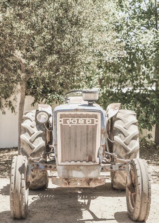 Ford | Canvas