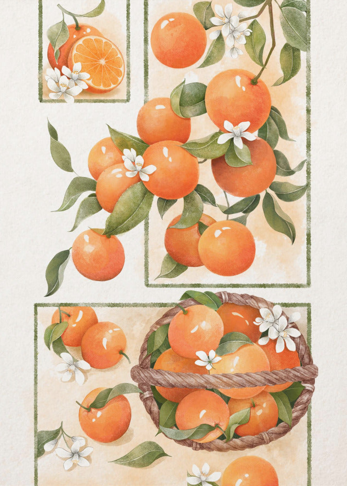 Apelsinblomma | Poster