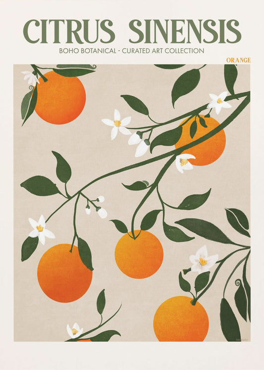 Citrus Sinensis - Appelsiini | Canvastaulut