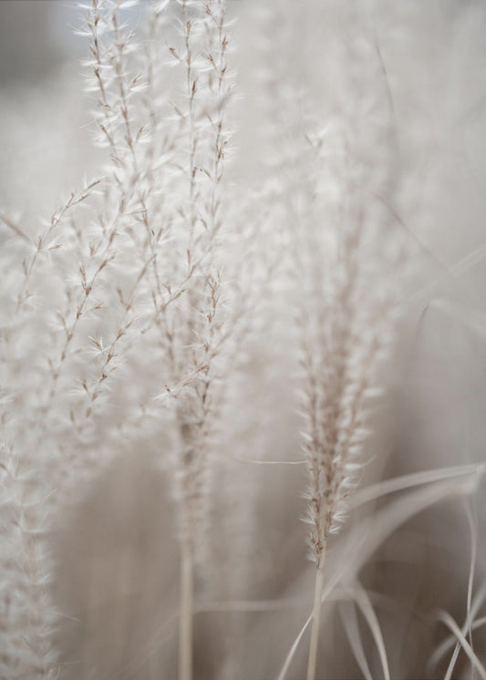 Grass 18 | Canvas