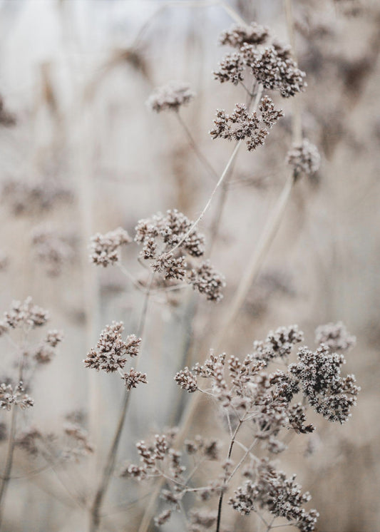 Unknown 8 | Canvas