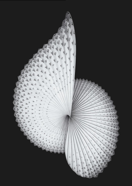 Nautilus-like Sculpture | Canvas