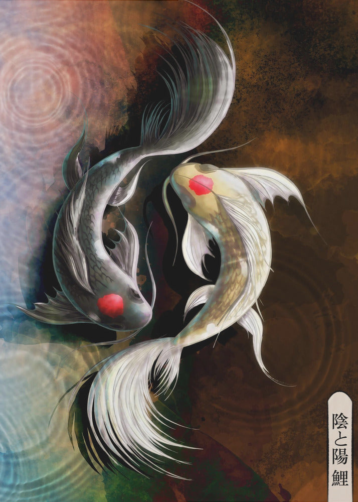 Koi scuro | Stampe su Tela