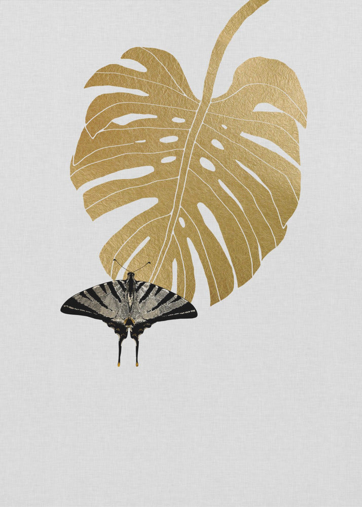 Mariposa y hoja de monstera | Impresiones en Lienzo