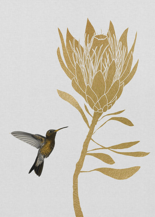 Colibrì e fiore I | Stampe su Tela