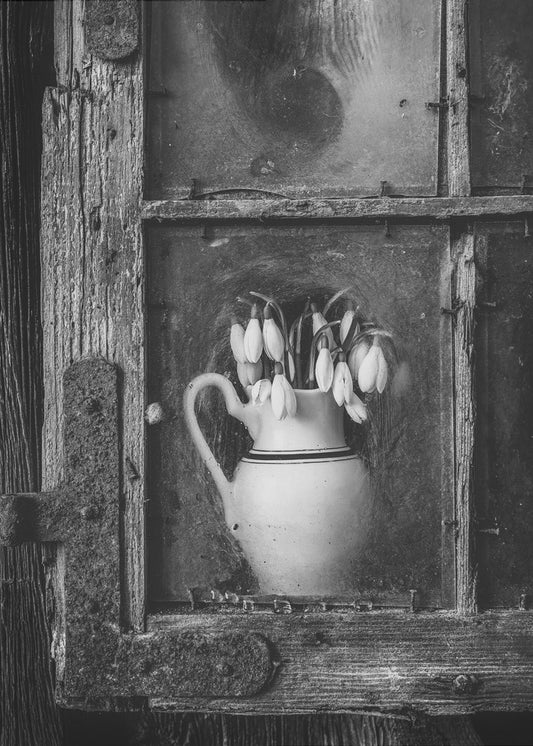 Lentebloemen | Canvasprints