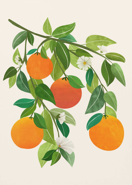 Oranges and Blossoms Ii | Canvas