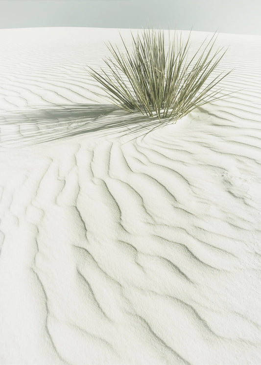 WHITE SANDS Idyllic vintage scenery | Canvas