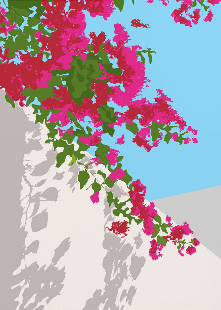 Bougainvillea bloesem | Canvasprints