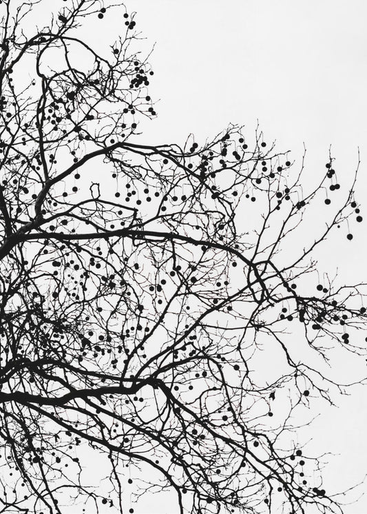 Winter Silhouettes 5 | Poster