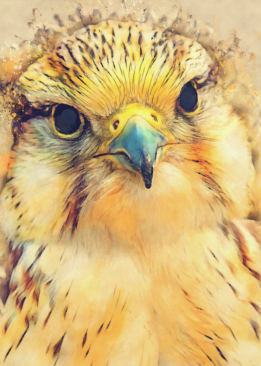 Animal Falcon Watercolor Animal Art | Poster