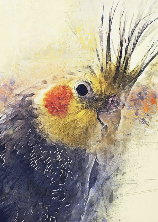 Animal Bird Cockatiel Watercolor Animal Art | Poster