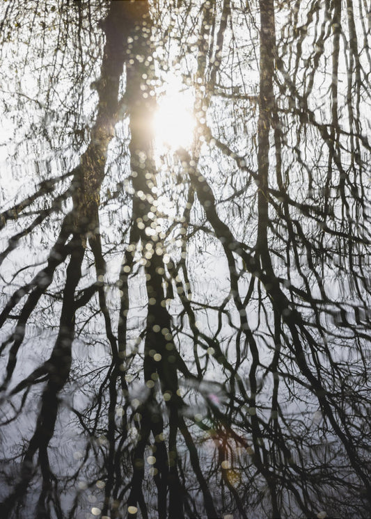 Winter Reflections 4 | Poster