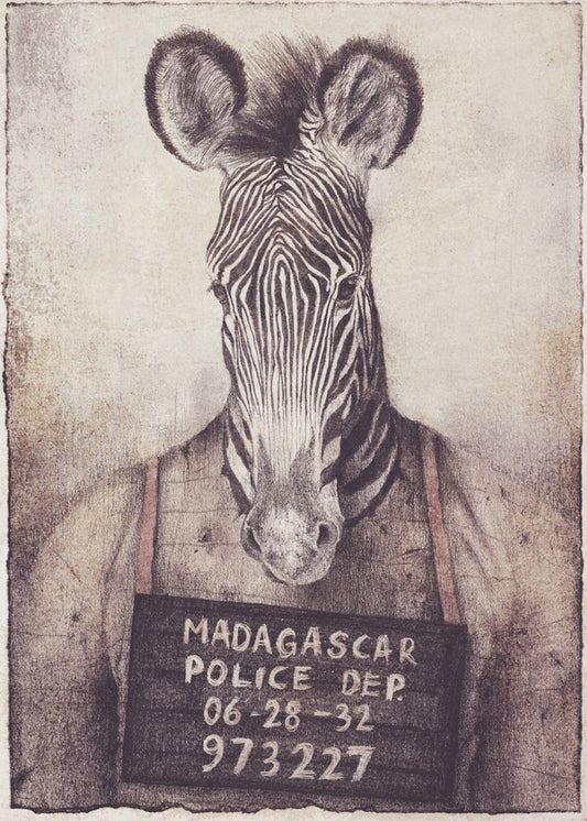 Zebra Mugshot Mystery | Canvas