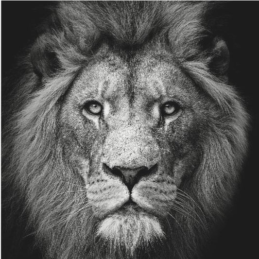 Staar me aan #3 | Canvasprints