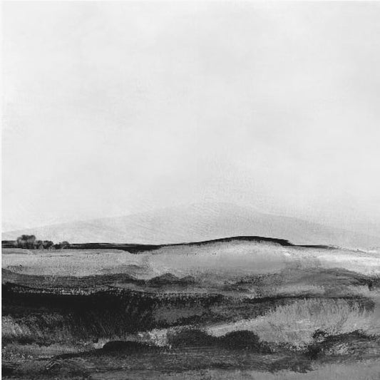 Mono Landschap No1 | Canvasprints