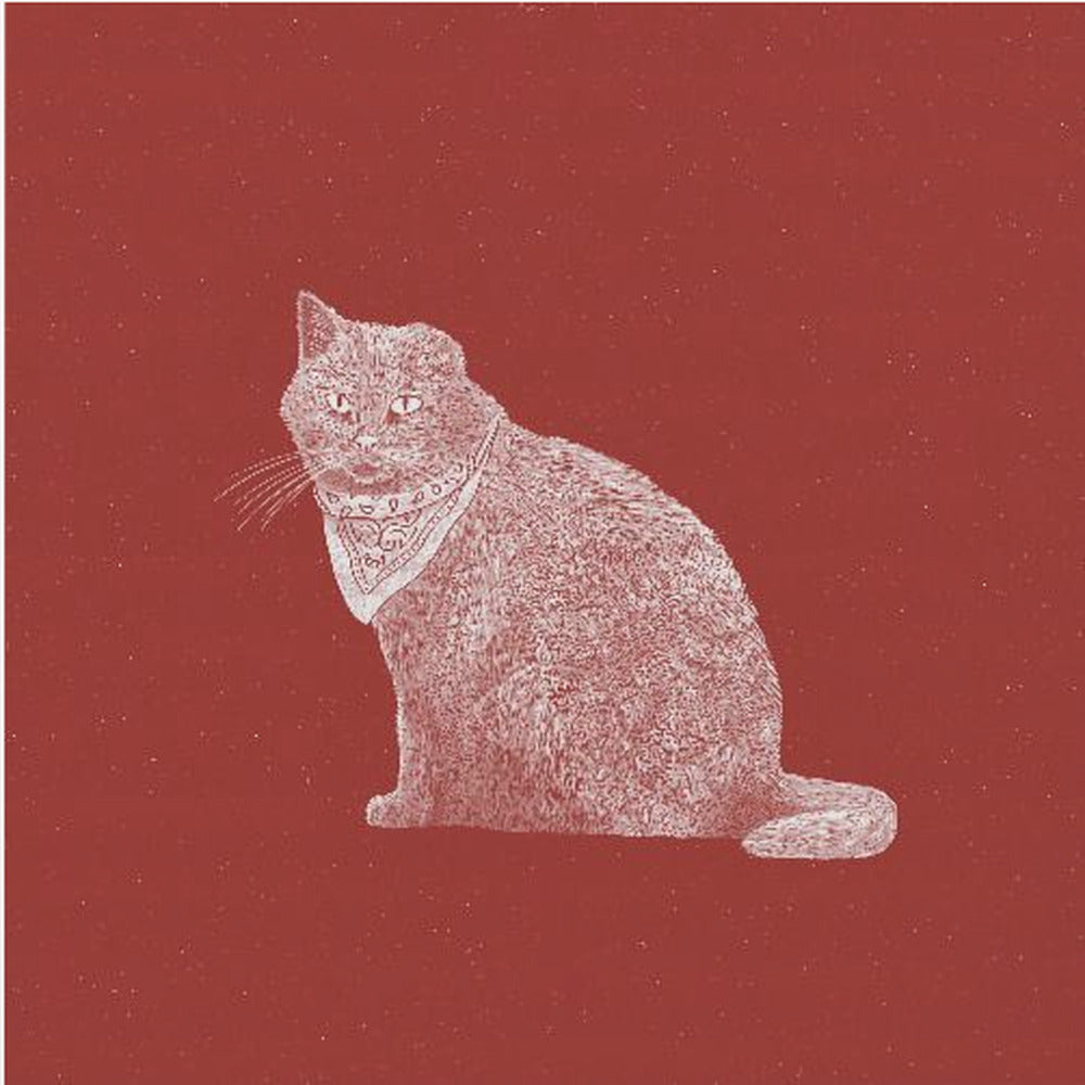 Stoere Bandietkat | Canvasprints