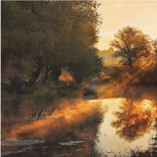 Als de natuur met licht schildert | Canvasprints