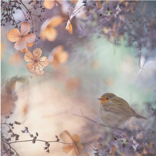 Hortensia fantasie | Canvasprints