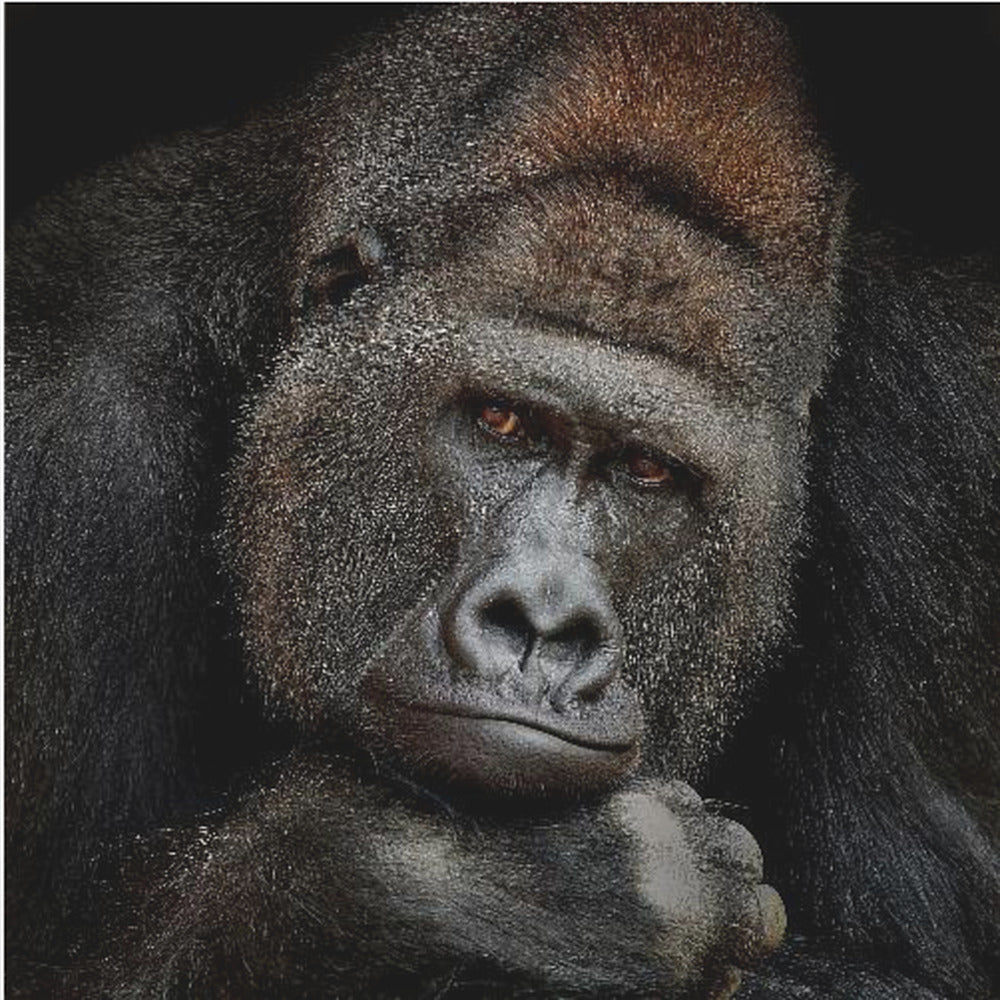 EEN MOMENT IN CONTACT | Canvasprints