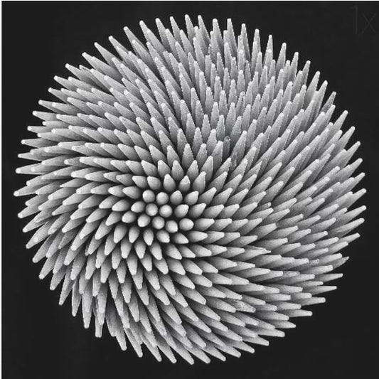 hypnose | Canvasprints