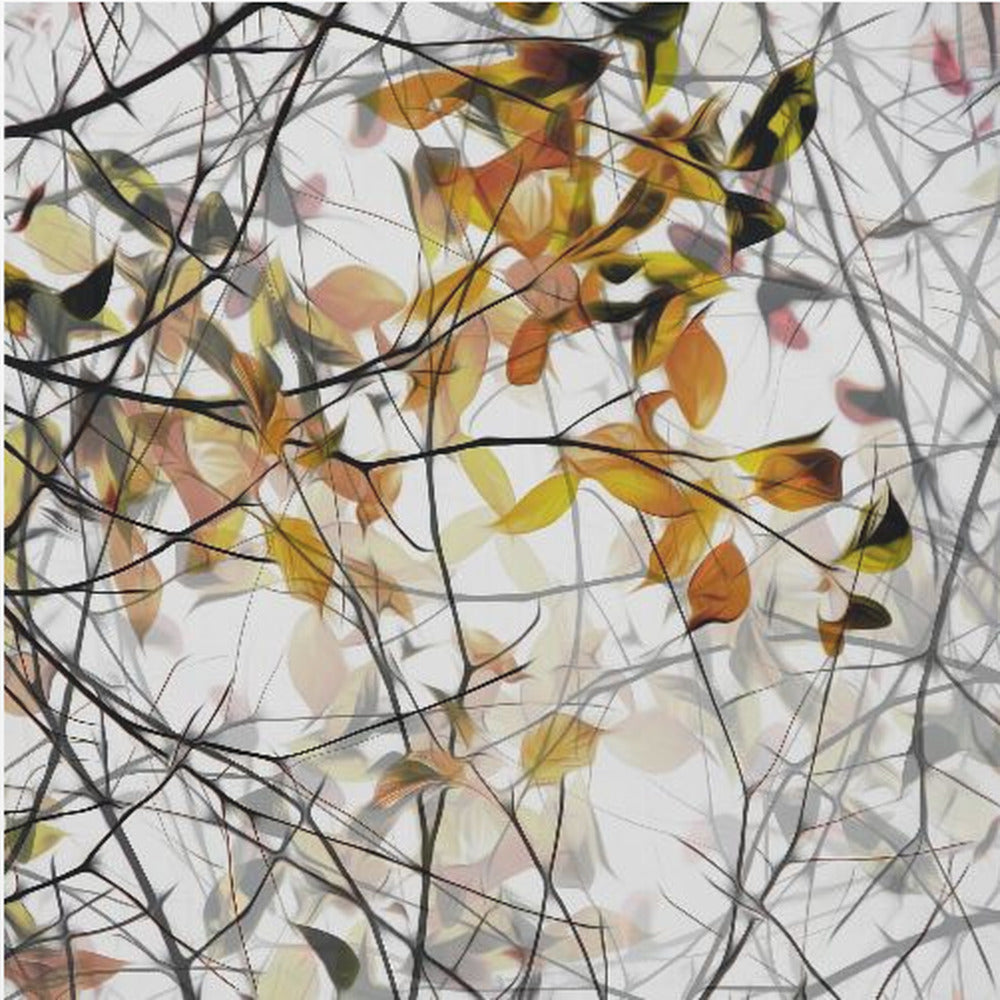 canzone autunnale | Stampe su Tela